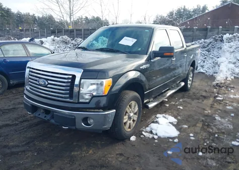 2010 Ford F-150 Fx4/Harley-Davidson/Lariat/Xl/Xlt z USA, uszkodzony, nr VIN 1FTFW1EV3AFB21316